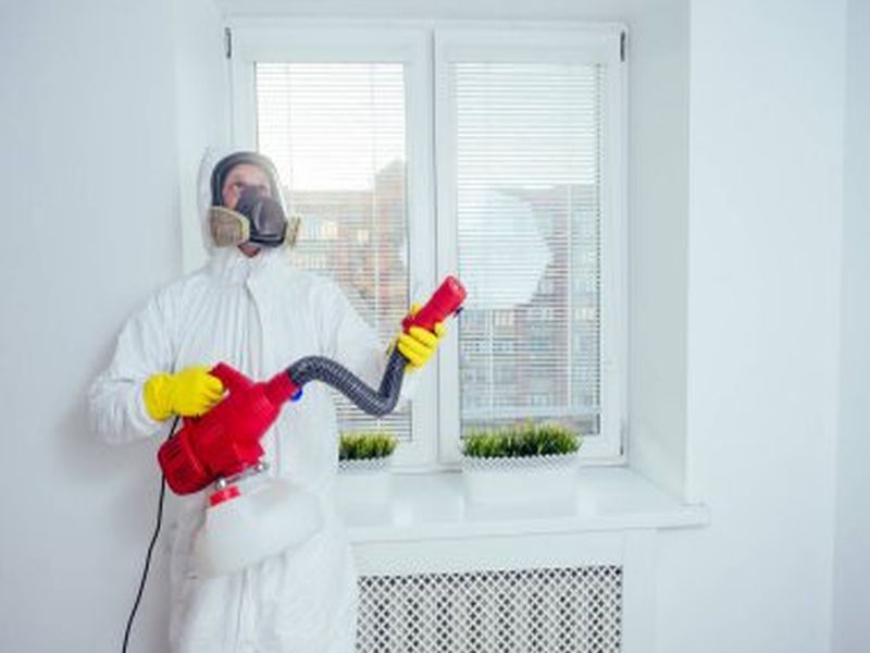 Residential Pest Control Services in Sydney